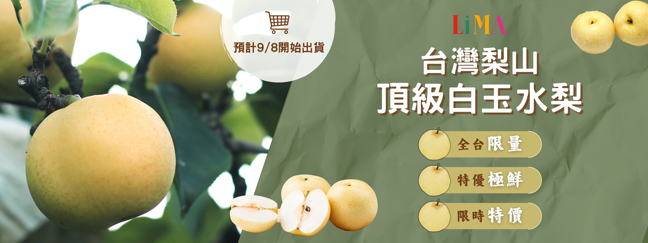 白玉水梨