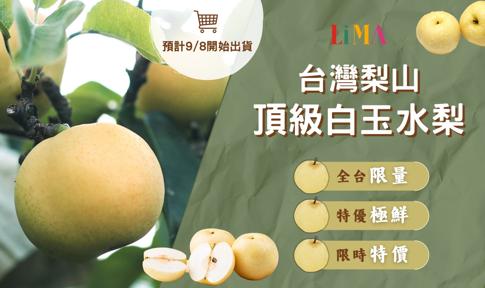 白玉水梨