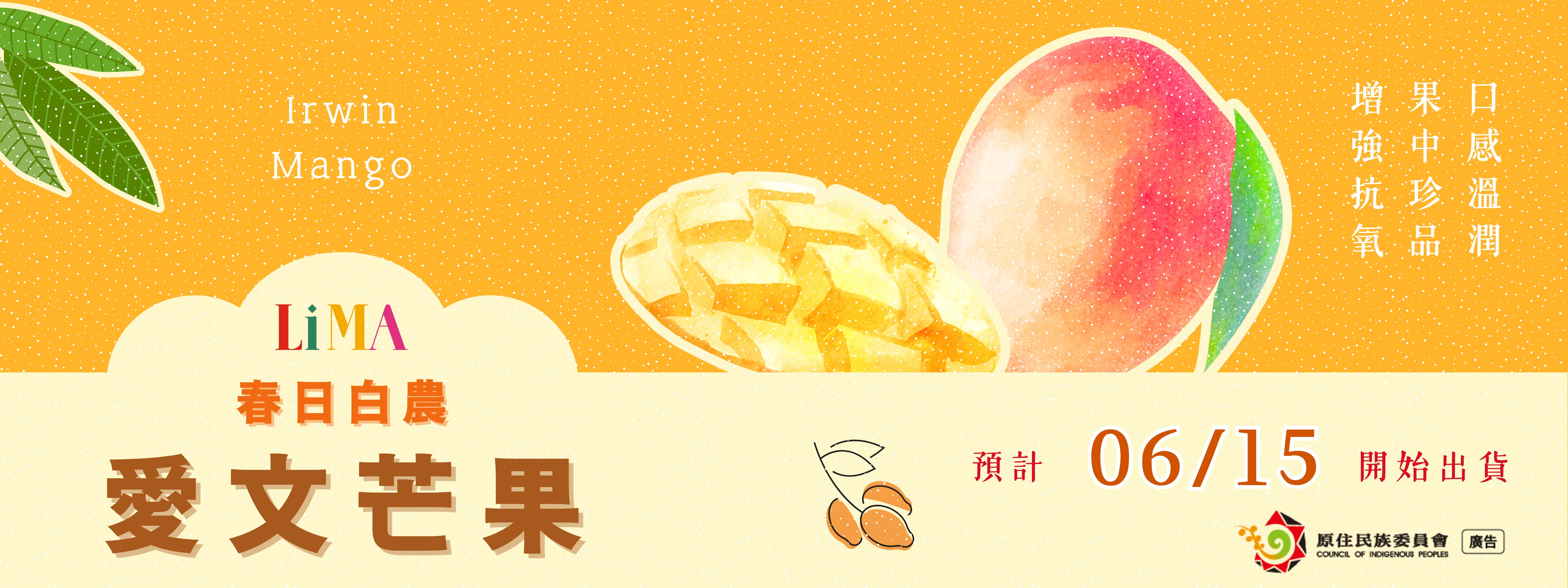 春日芒果