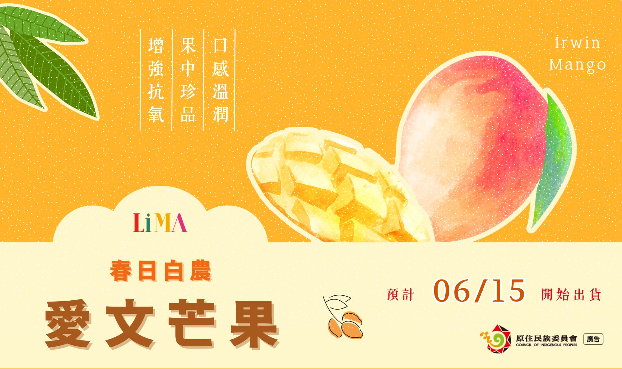 春日芒果
