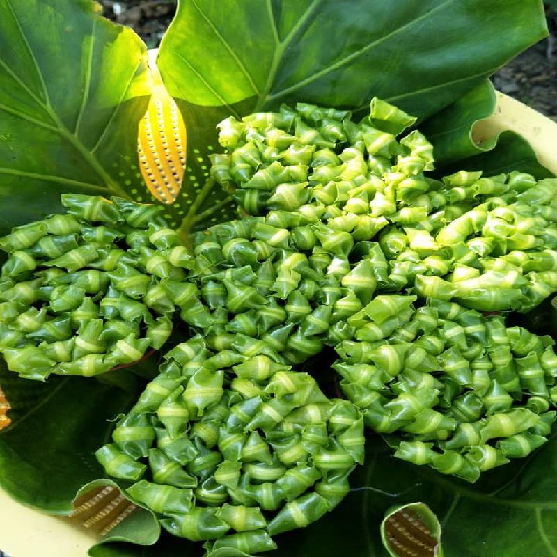 山蘇菜商品圖