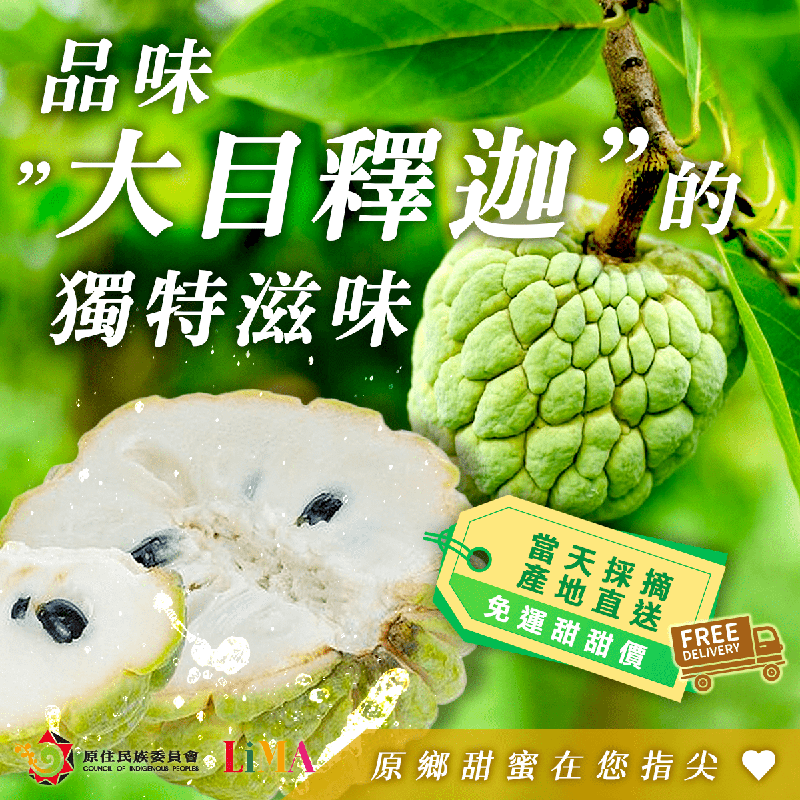 預購-台東大目釋迦(6粒/5斤)商品圖