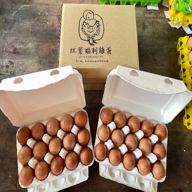 紅葉友善放牧雞蛋(60入)商品圖