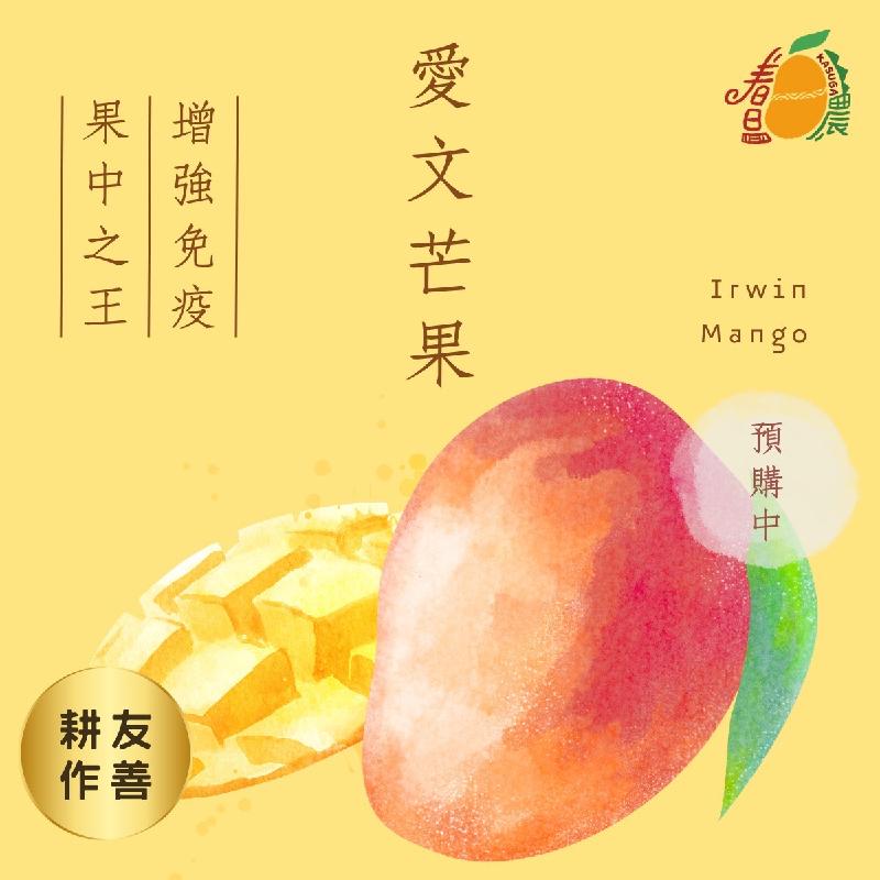 屏東春日愛文芒果(9至10粒禮盒裝)商品圖