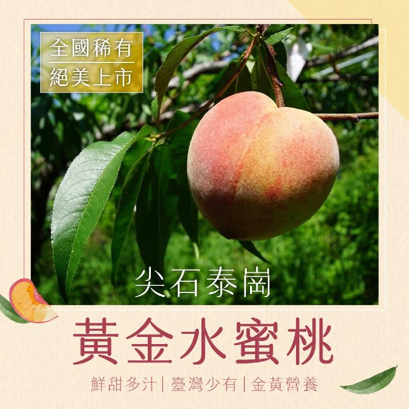 泰崗黃金水蜜桃 12粒/盒商品圖