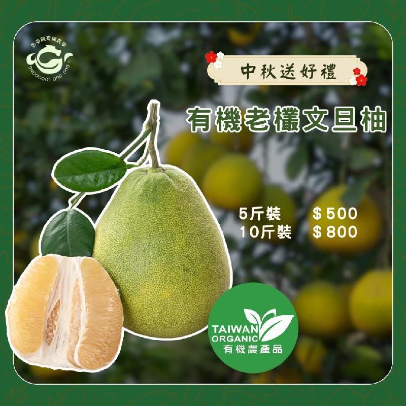 有機老欉文旦柚5-7粒 5斤商品圖