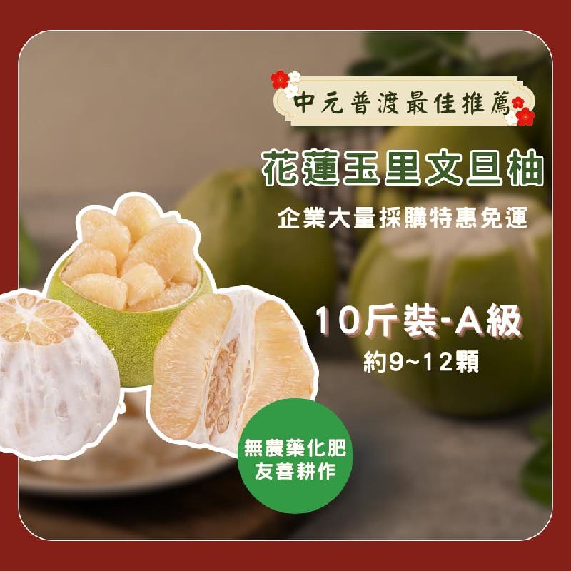 花蓮玉里友善耕種文旦柚9-12粒商品圖