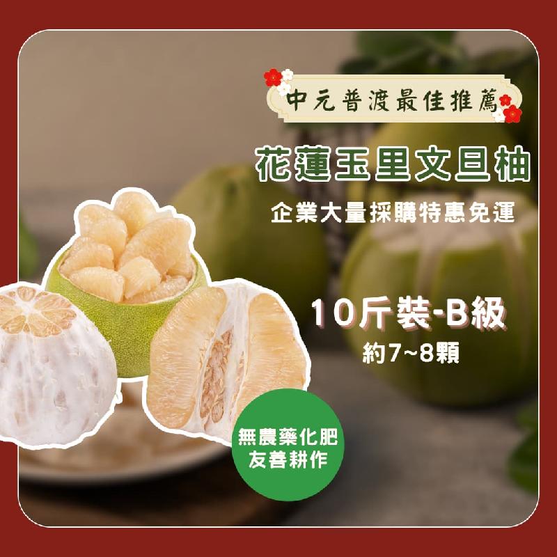 花蓮玉里友善耕種文旦柚7-8粒商品圖