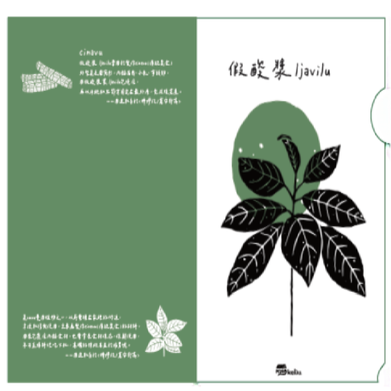 假酸漿葉文件夾商品圖