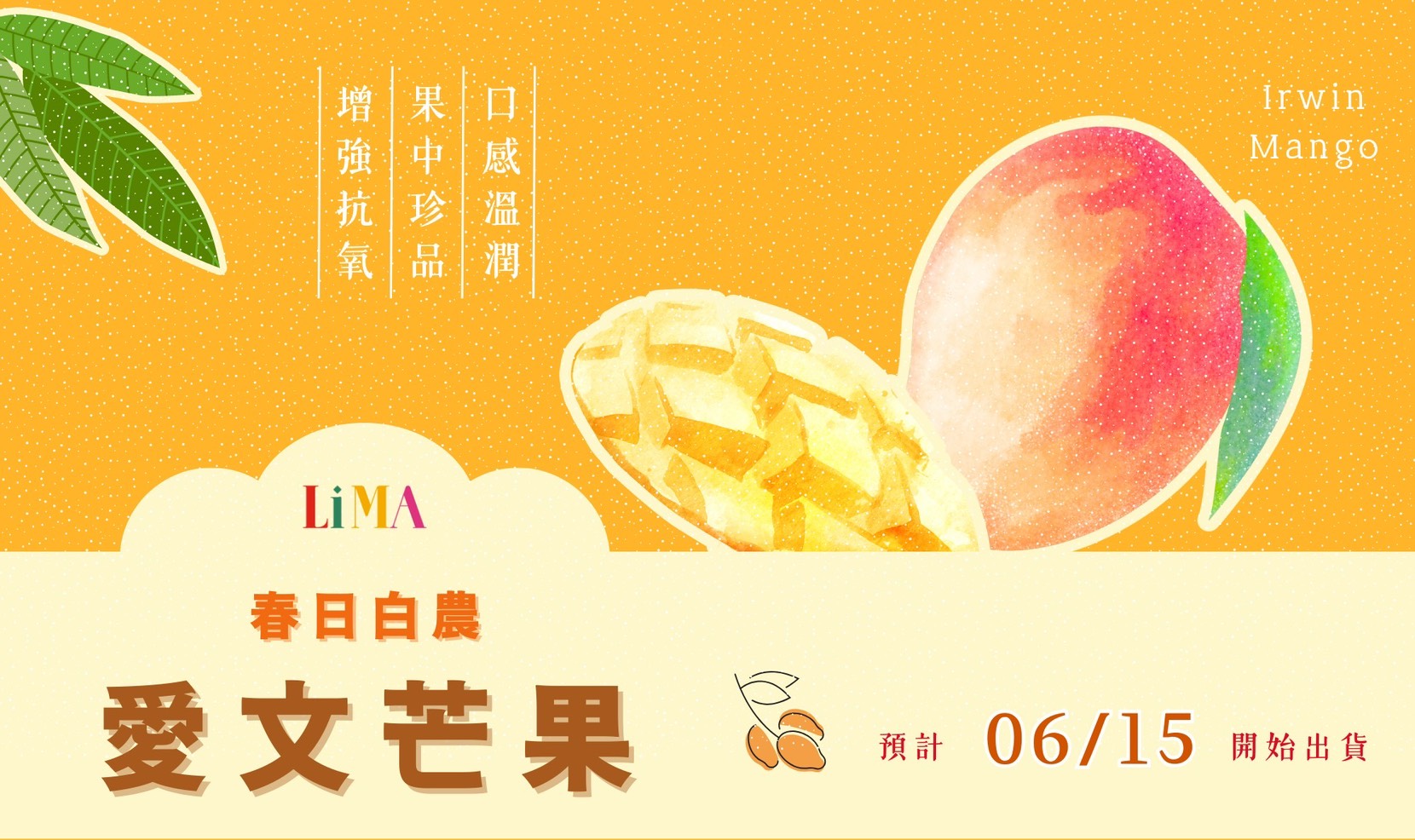 春日芒果