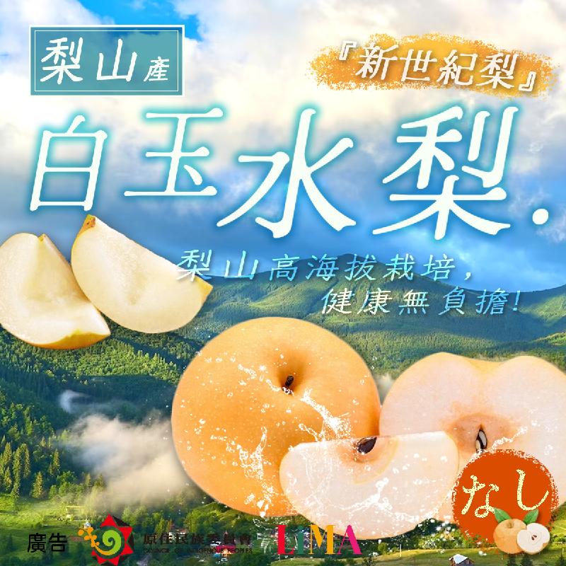 梨山．白玉水梨 - 18粒裝