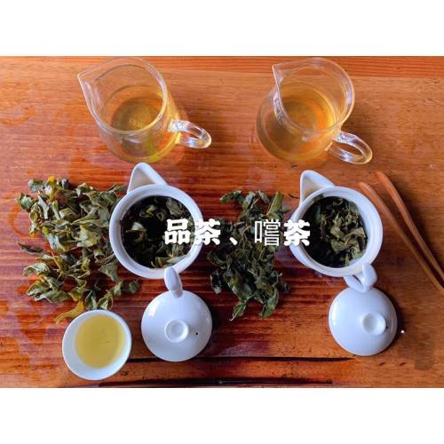 清香烏龍茶包組(10入)