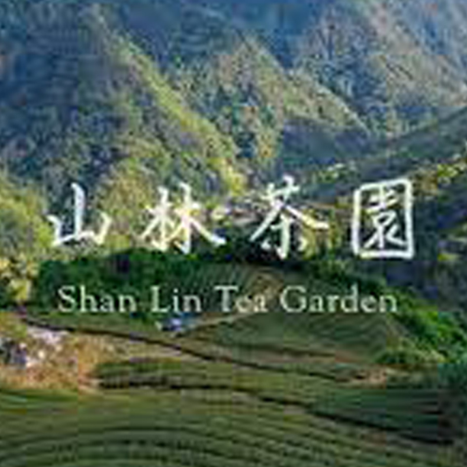 舞茶•山林茶園 Logo
